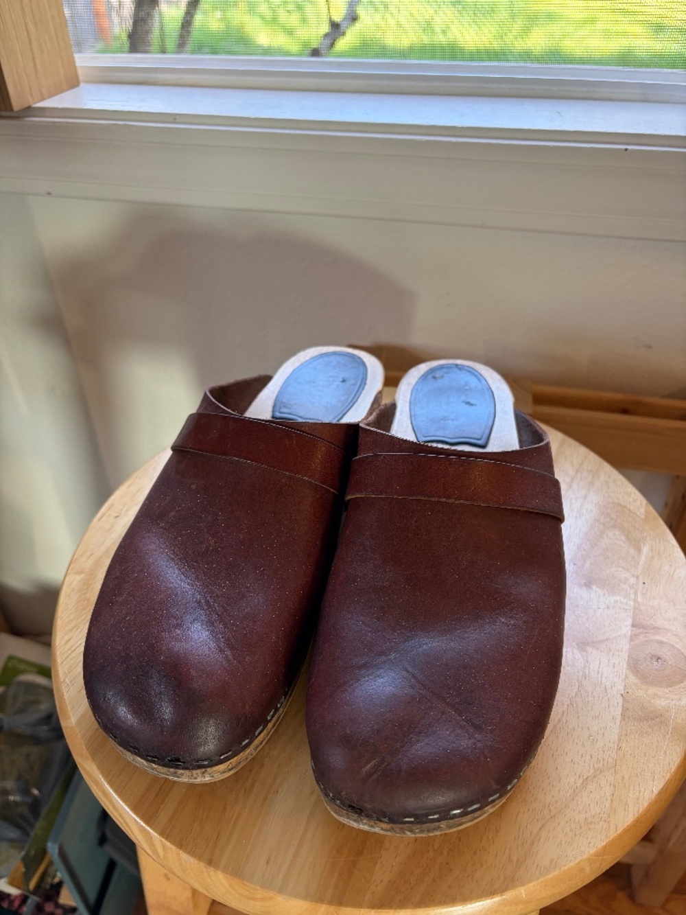 Brown Swedish Hasbeens Clog